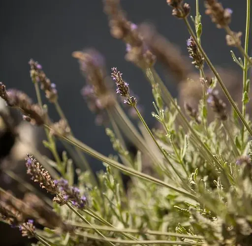 Kamarela Apartamento